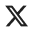 x logo